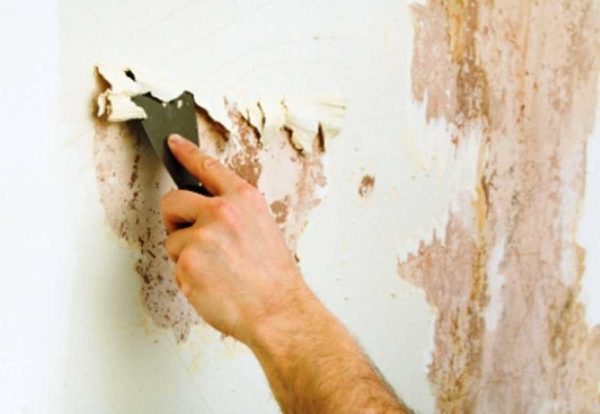Счищают старую краску со стен чаще всего шпателем