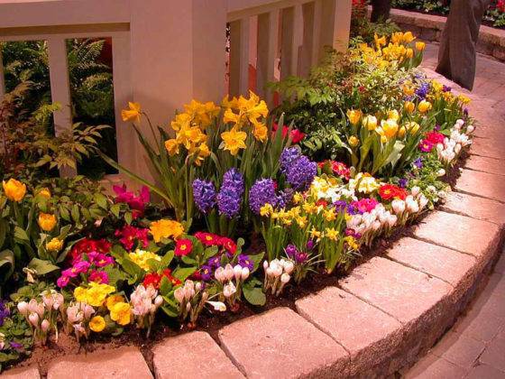 Фото цветника в саду частного дома со стенкой из камня – надежная и долговечная конструкция