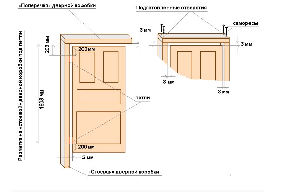 Размеры коробки двери